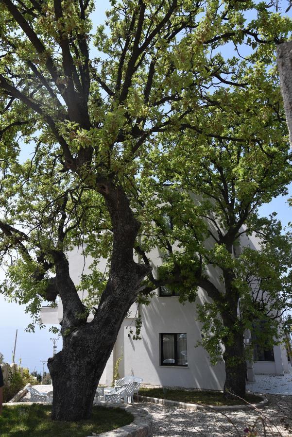 Gogo's Boutique Hotel Dhermi