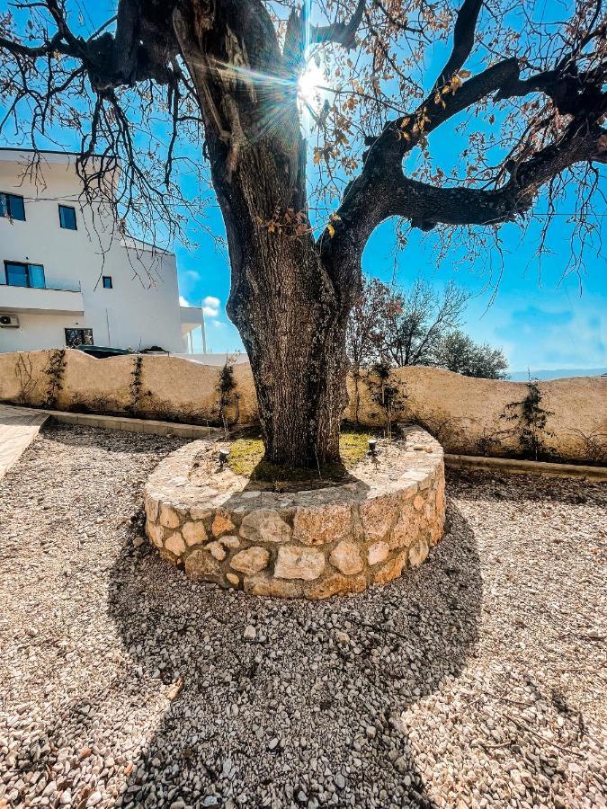 Gogo's Boutique 4* Dhermi